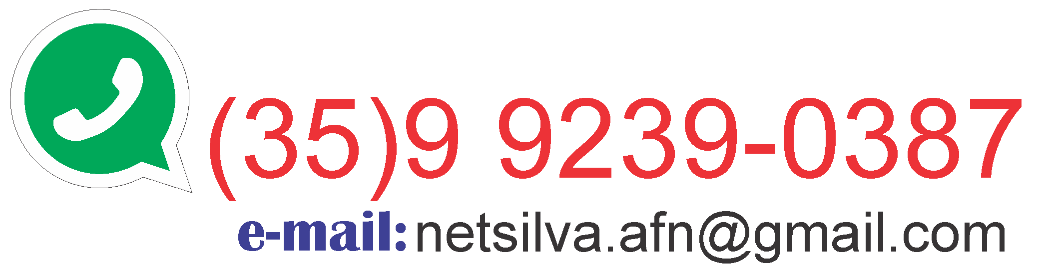 NetSilva Telefone